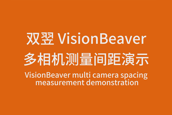 VisionBeaver多相機測量間距演示