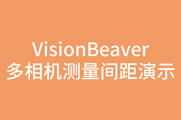 VisionBeaver多相機測量間距演示